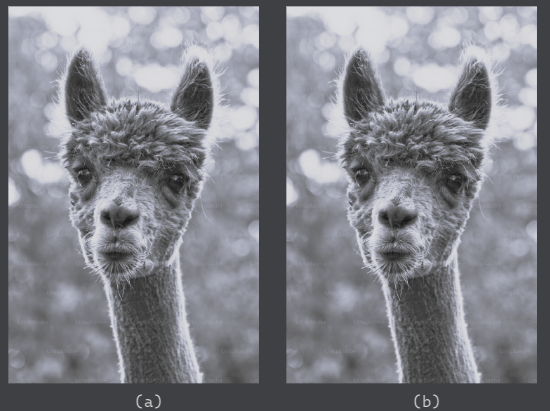 Comparison of digital steganography showing (a) original image and (b) stego image with hidden data embedded using LSB substitution technique
